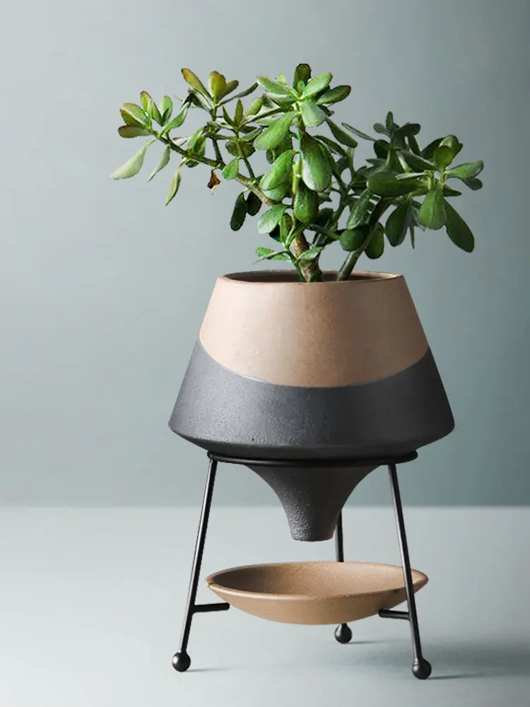 Badminton Live - Home Decoration, Ceramic Vases, Juicy Plants,