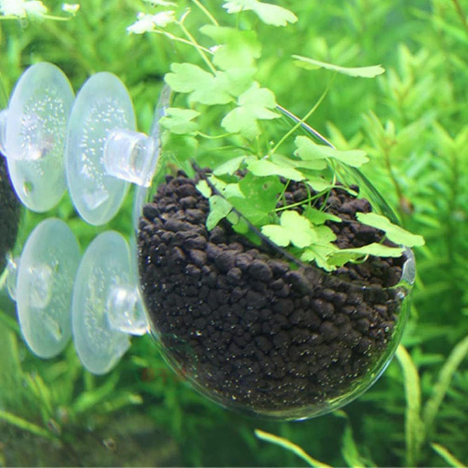 Aquarium Plant Holder Glass Aq - Badminton Live recension och pris