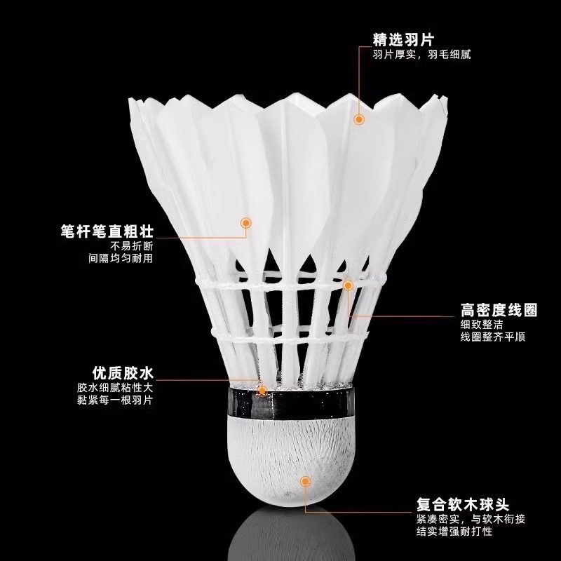 Lion Badminton Shuttlecock Goo - Badminton Bwf recension och pris