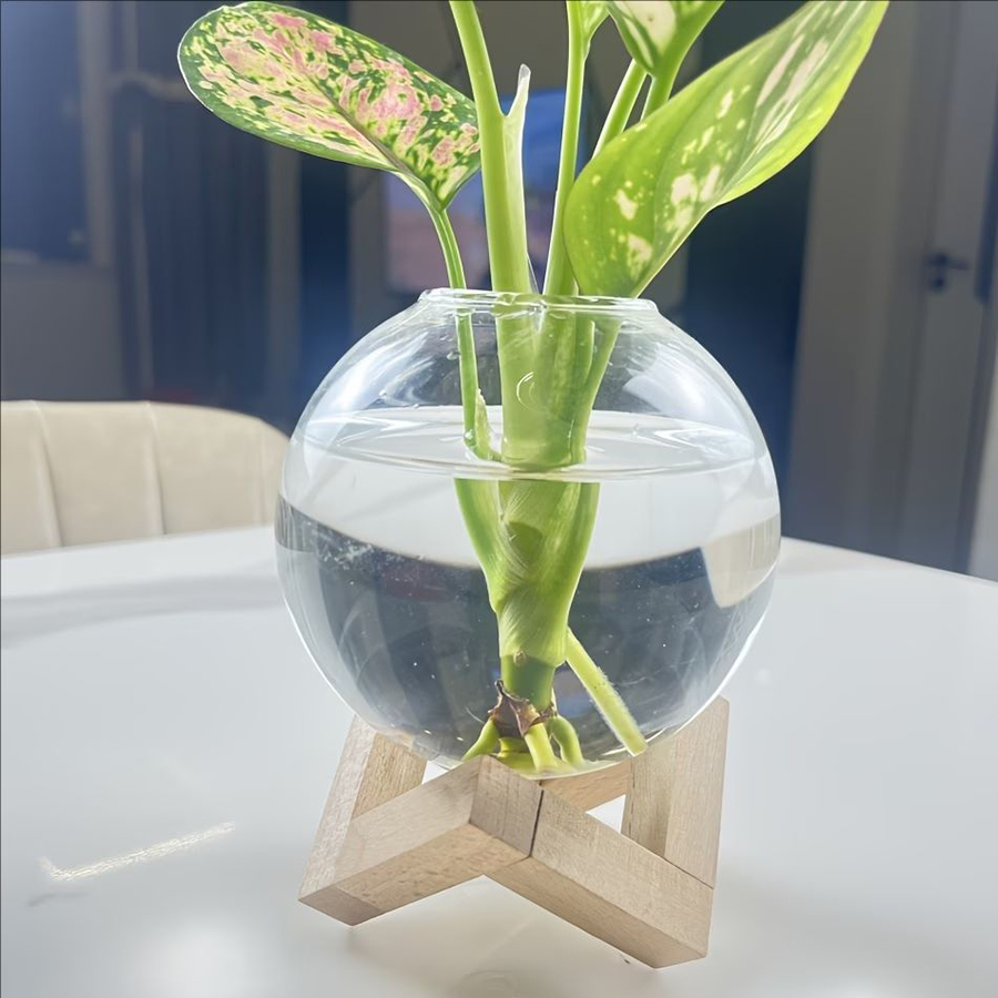 Plant Cultivation Station with - Badminton Live recension och pris