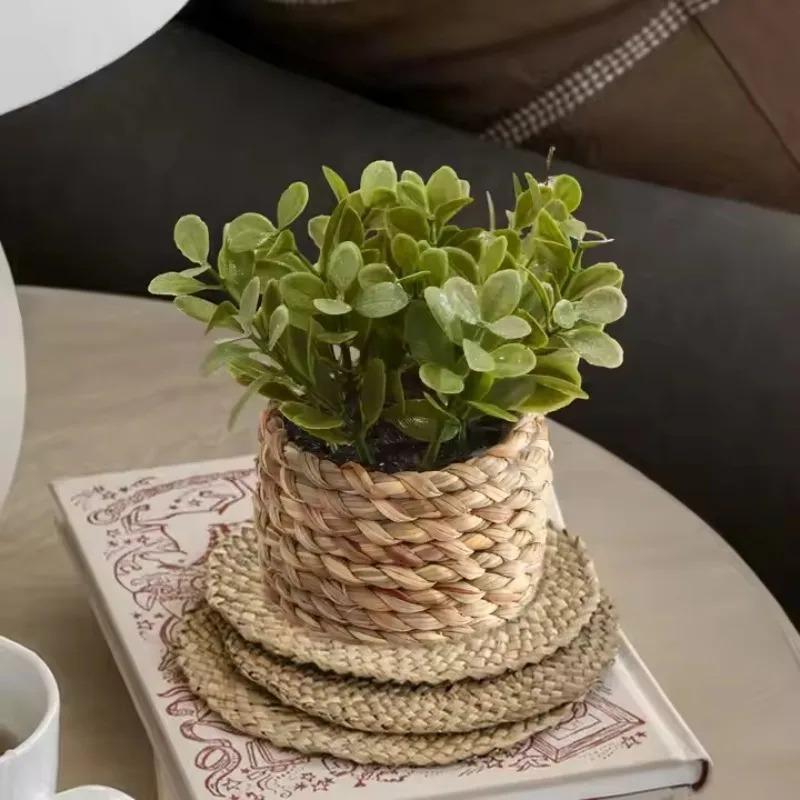 1Pc Potted Plant Small Fake Pl - Badminton Live recension och pris