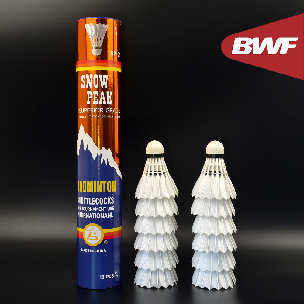 SP-01 Professional Tournament  - Badminton Bwf recension och pris