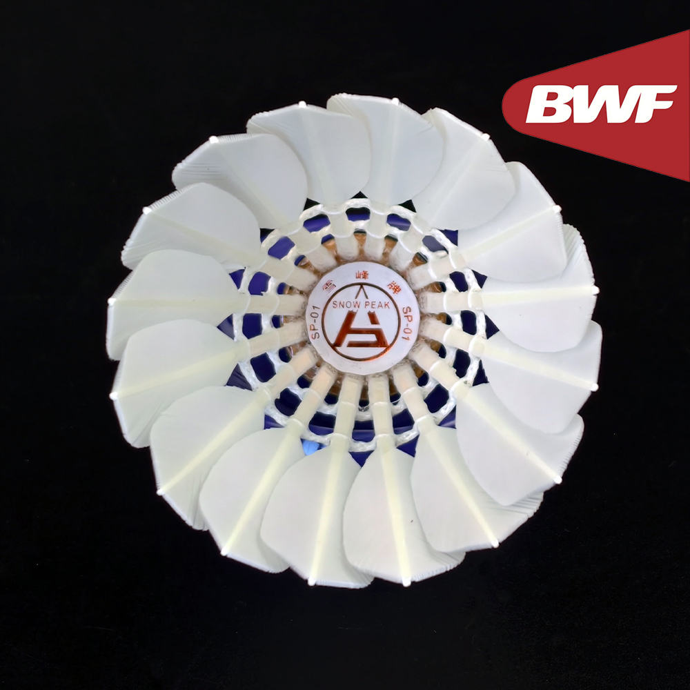 SP-01 Professional Tournament  - Badminton Bwf recension och pris