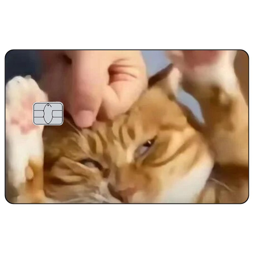 Cute Cat Meme Credit Card Skin - Badminton Meme recension och pris